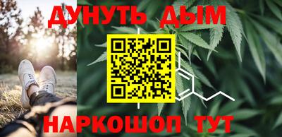 гашик Аргун