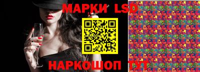 гашик Аргун